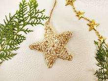 Load image into Gallery viewer, Christmas Assorted Decoration (Set of 10 pieces)