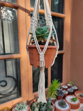Load image into Gallery viewer, Macrame Planter Knotted

