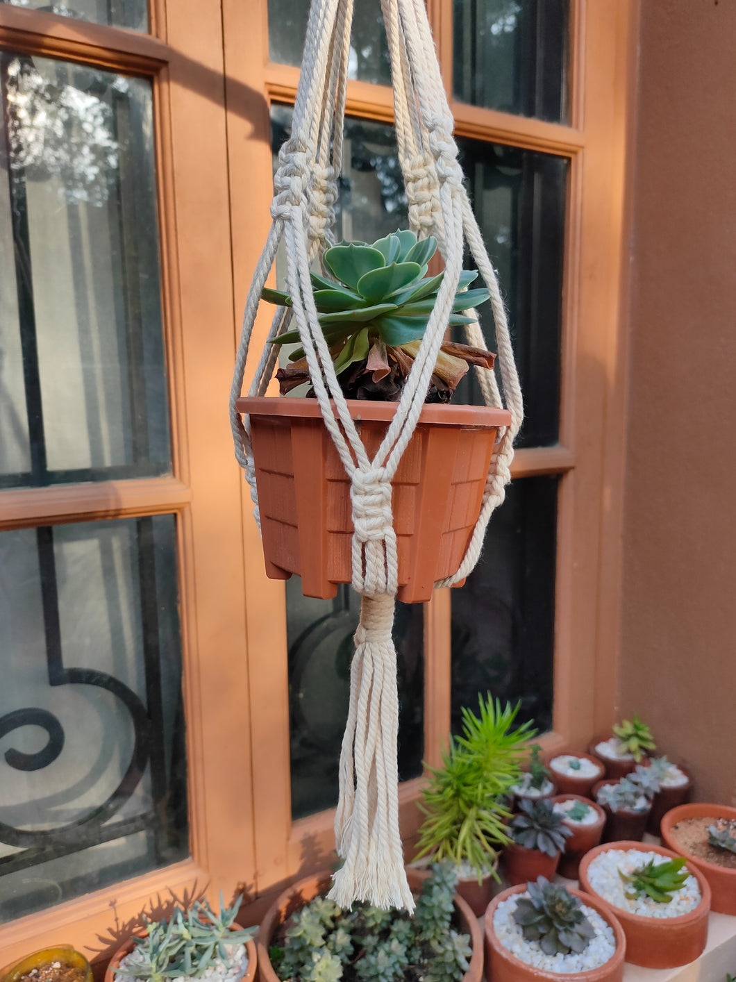 Macrame Planter Knotted