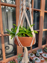 Load image into Gallery viewer, Macrame Planter Boho
