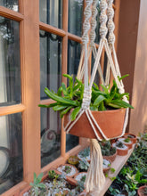 Load image into Gallery viewer, Macrame Planter Boho
