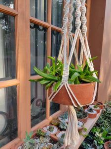 Macrame Planter Boho