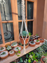 Load image into Gallery viewer, Macrame Planter Knotted

