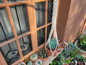 Macrame Planter Knotted