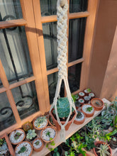 Load image into Gallery viewer, Macrame Planter Knotted
