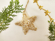 Load image into Gallery viewer, Christmas Assorted Decoration (Set of 10 pieces)
