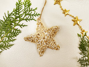 Christmas Assorted Decoration (Set of 10 pieces)